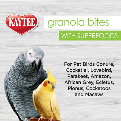 Kaytee Super Food Granola Bites Blueberry and Flax Seed Avian Treat 4.5oz