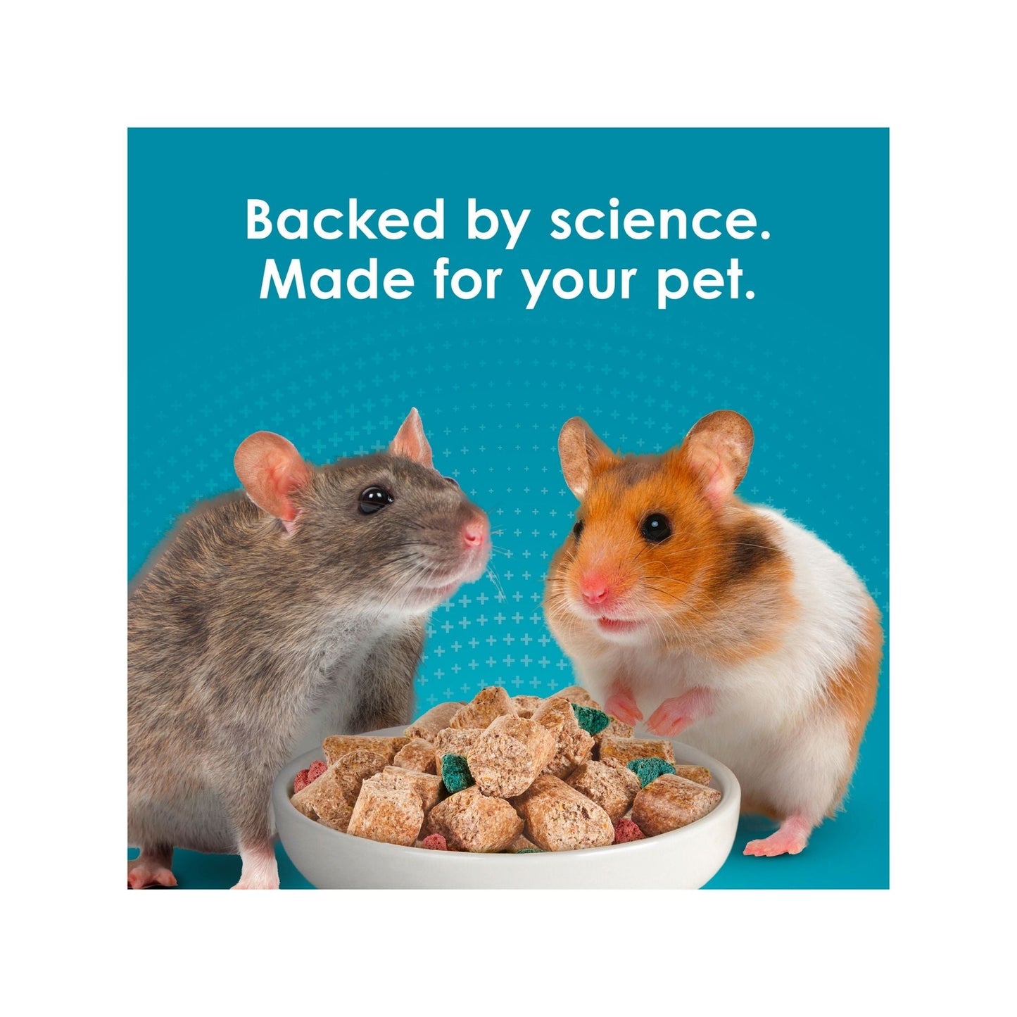Kaytee Forti-Diet Pro Health Nourish+Protect Mouse, Rat & Hamster Food Grain blend 1ea/20 lb