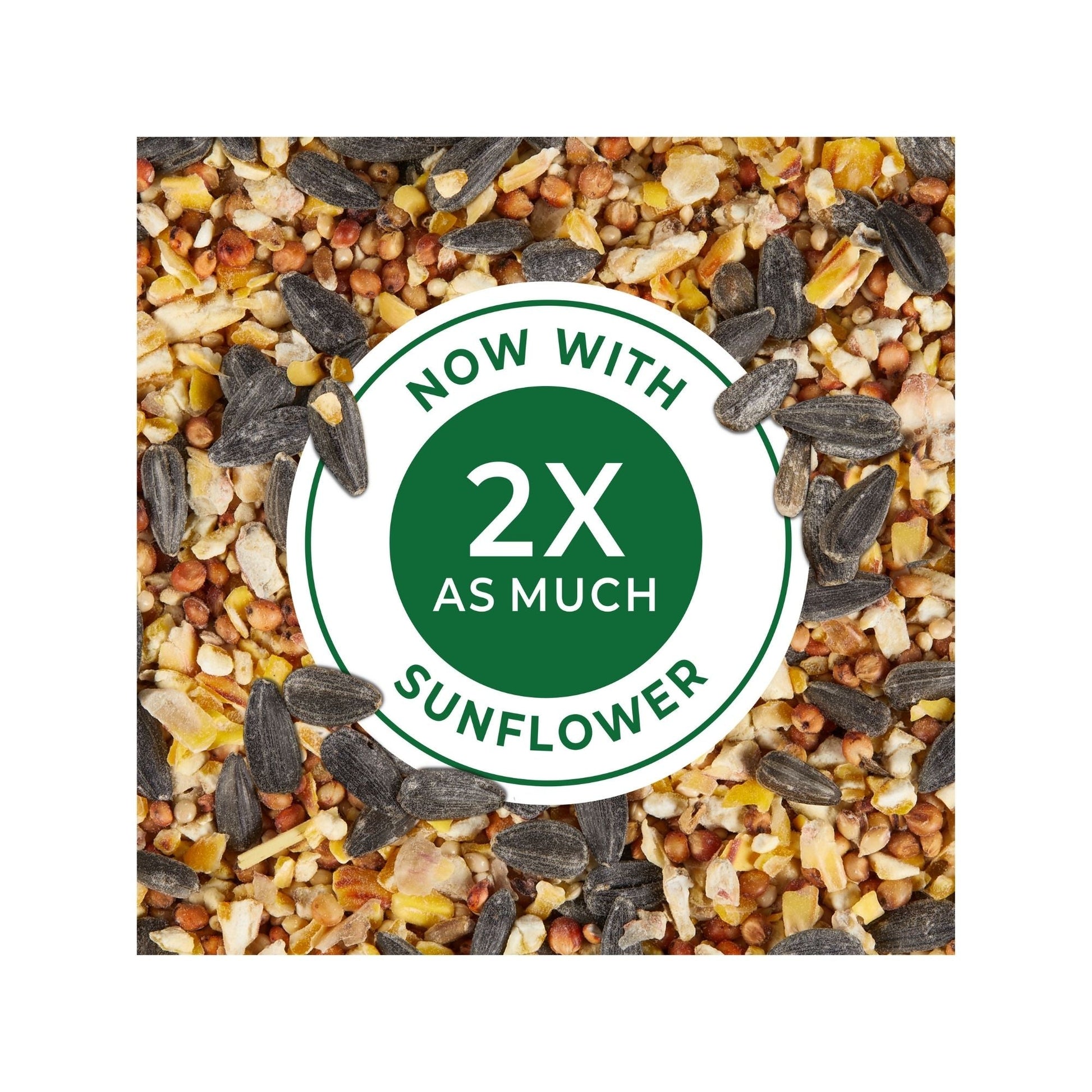 Kaytee Wild Bird Food 1ea/20 lb