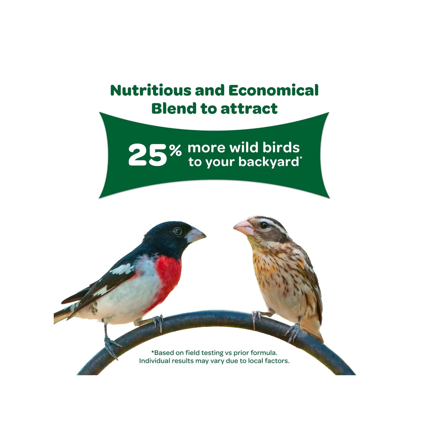 Kaytee Wild Bird Food 1ea/20 lb