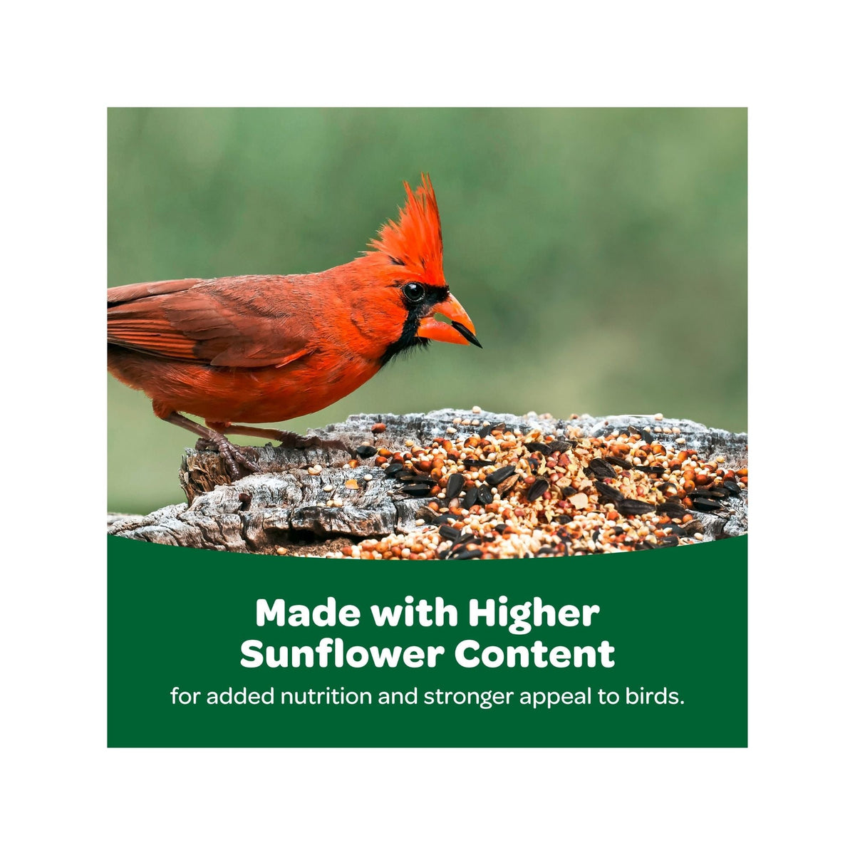 Kaytee Wild Bird Food 1ea/20 lb