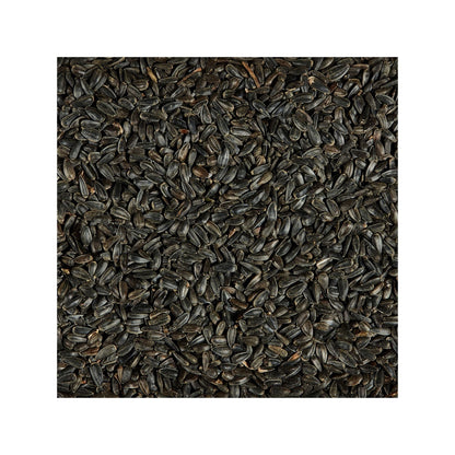 Kaytee Black Oil Sunflower Food 1ea/20 lb