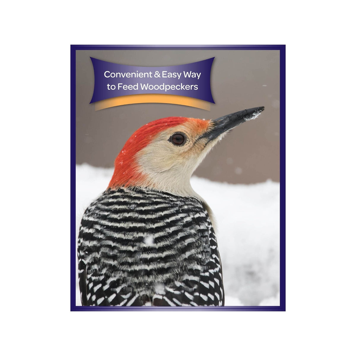 Kaytee Woodpecker Bird Seed Bar 1ea/11oz.