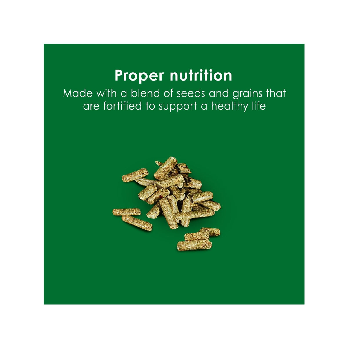 Kaytee Forti Diet Guinea Pig Food 1ea/5 lb