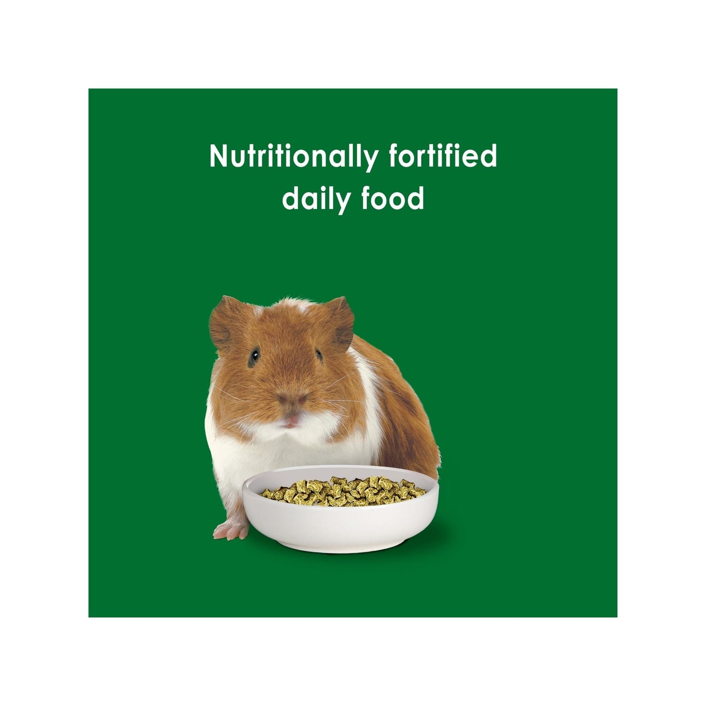 Kaytee Forti Diet Guinea Pig Food 1ea/5 lb