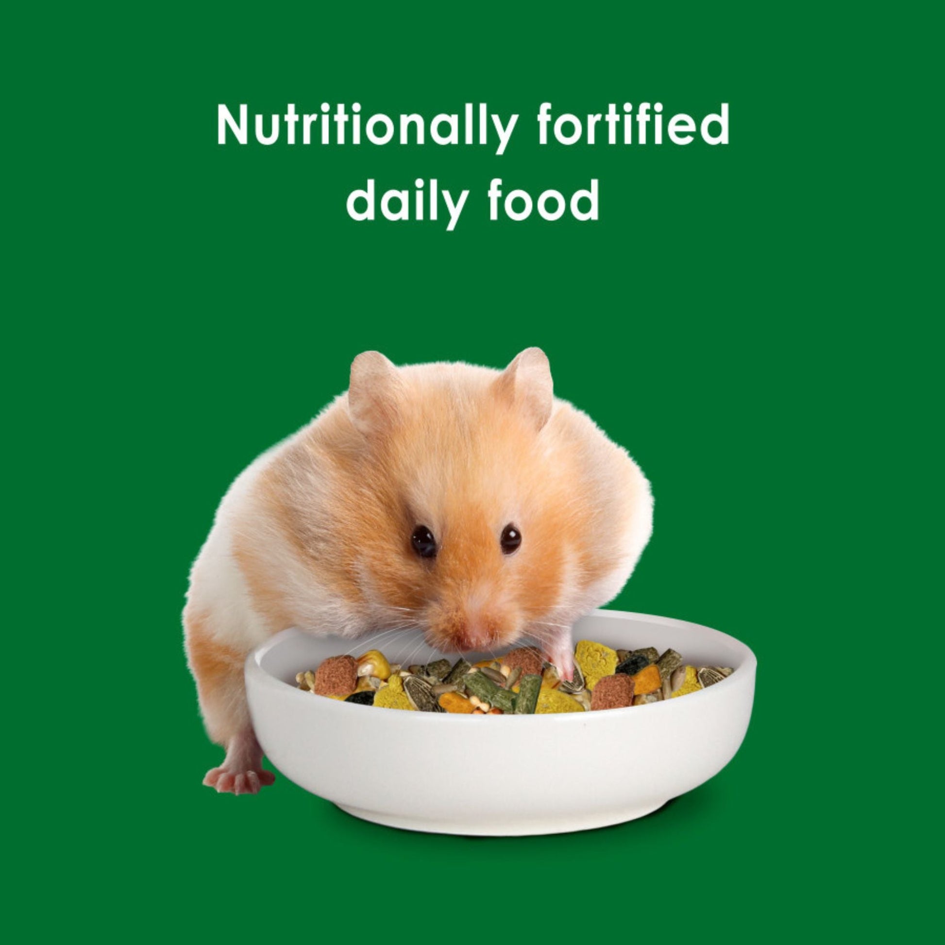 Kaytee Forti-Diet Hamster & Gerbil Food 1ea/3 lb