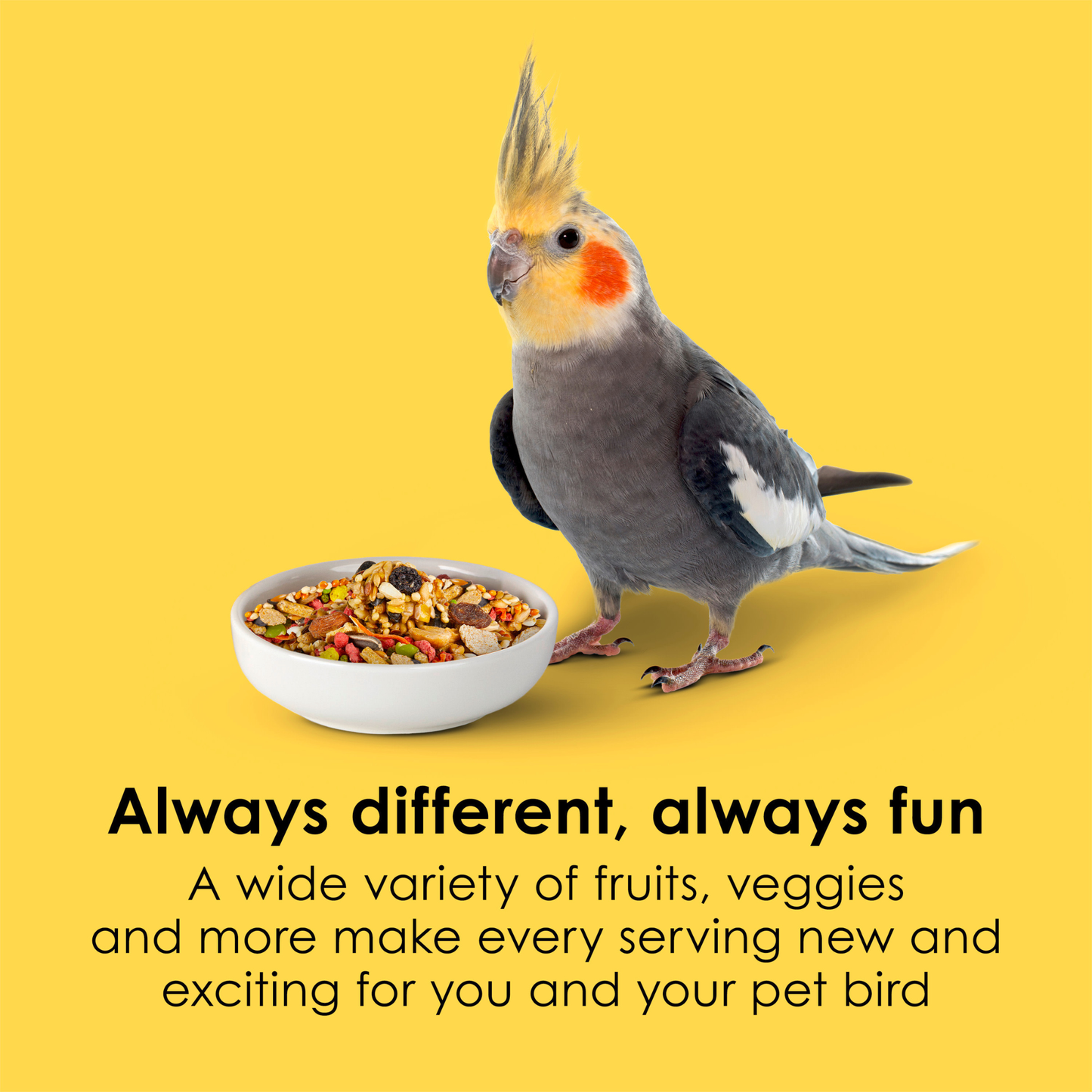 Kaytee Fiesta Cockatiel Food 1ea/25 lb