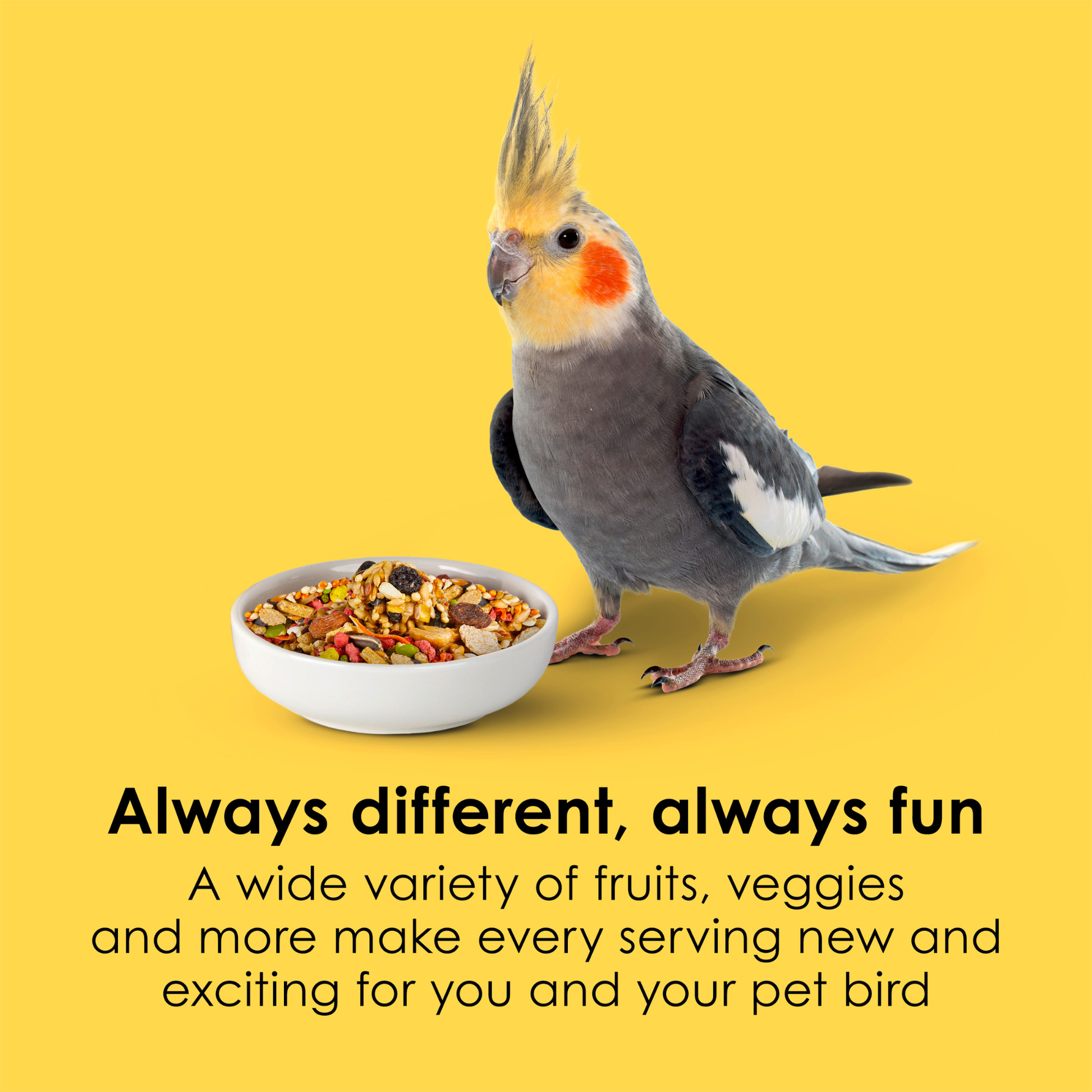 Kaytee Fiesta Cockatiel Food 1ea/25 lb