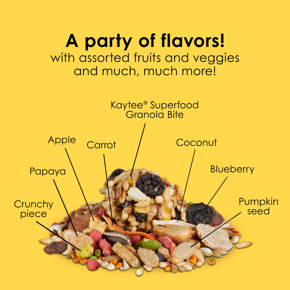 Kaytee Fiesta Cockatiel Food 1ea/25 lb