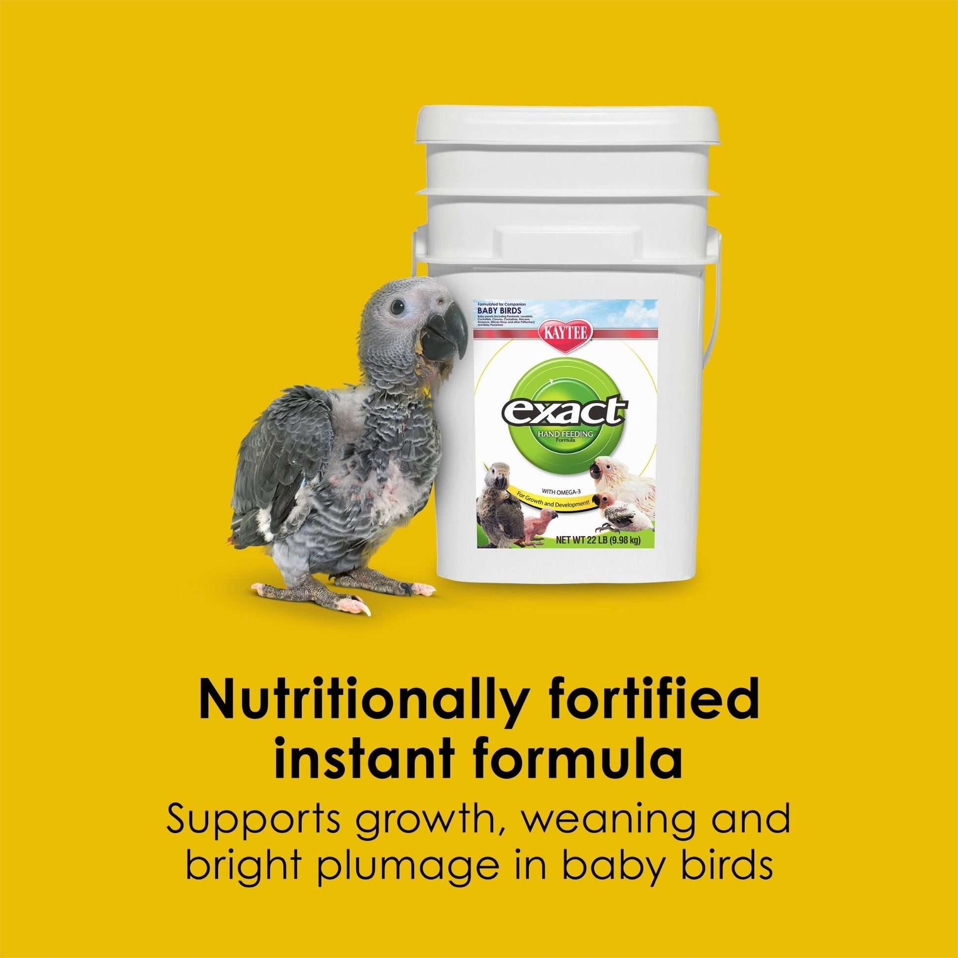 Kaytee Exact Handfeeding for Baby Birds 1ea/22 lb