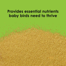 Kaytee Exact Handfeeding for Baby Birds 1ea/22 lb
