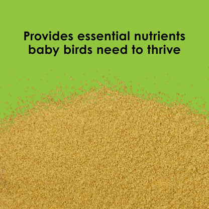 Kaytee Exact Handfeeding for Baby Birds 1ea/22 lb