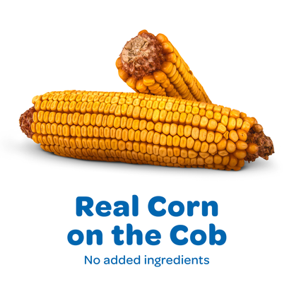 Kaytee Corn on the Cob 1ea/6.5 lb