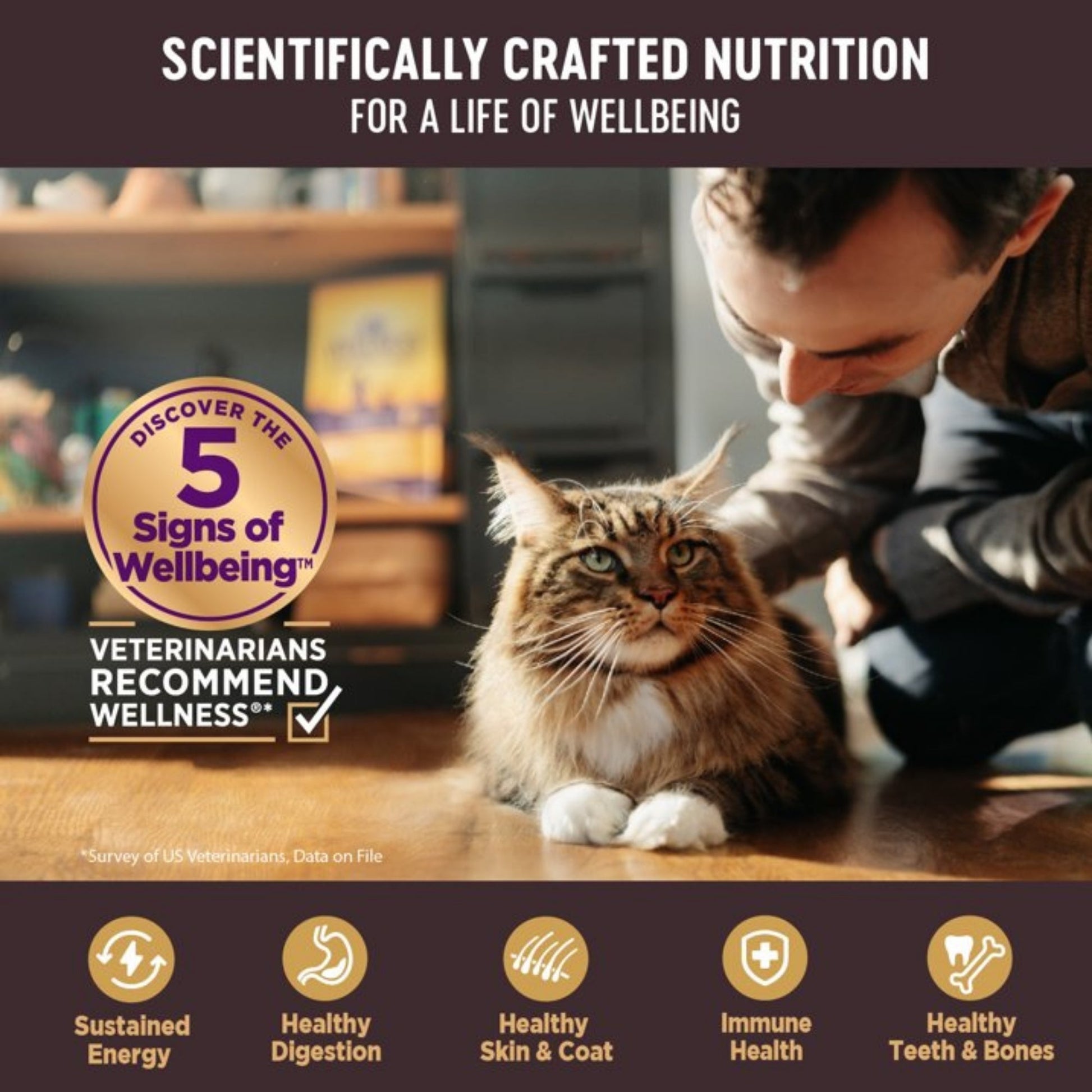 Wellness Cat Core Signature Select Shredded Chicken Chicken Liver Entrée 2.8oz. (Case of 12)