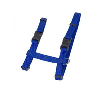 Coastal Figure H Adjustable Nylon Cat Harness Blue, 1ea/3/8 In X 1018 in