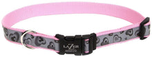 Lazer Brite Reflective Adjustable Dog Collar Turquoise, 1ea/5/8 In X 1218 in