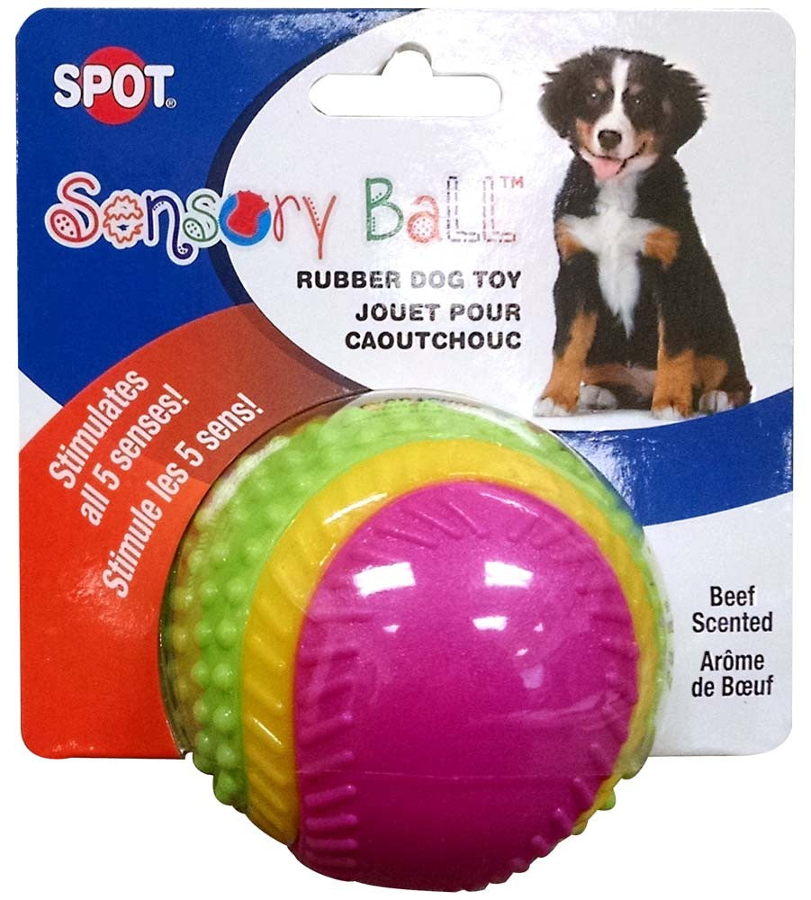 Spot Sensory Ball 3.25in Asstd