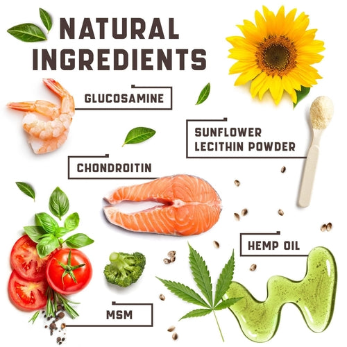 Glucosamine for Dogs   Functional Dog Joint Supplement with