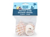 Flukers Hermit Crab Growth Shells Assorted 2 Pack Large
