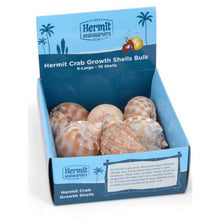 Fluker's Hermit Crab Growth Shells Display Assorted 1ea/10 pk, XL