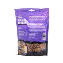 Fluker's Grub Bag Mealworm Calcium Fortified Treats 1ea/3.75oz.