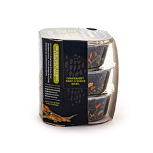 Fluker's Salad Singles Reptile Blend 1ea/0.65oz., 3 pk
