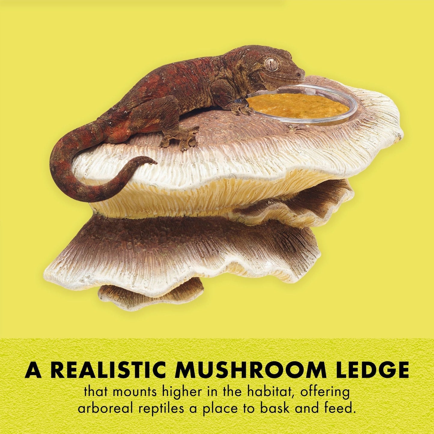 Zilla Vertical Décor Mushroom Feeding Ledge 1ea