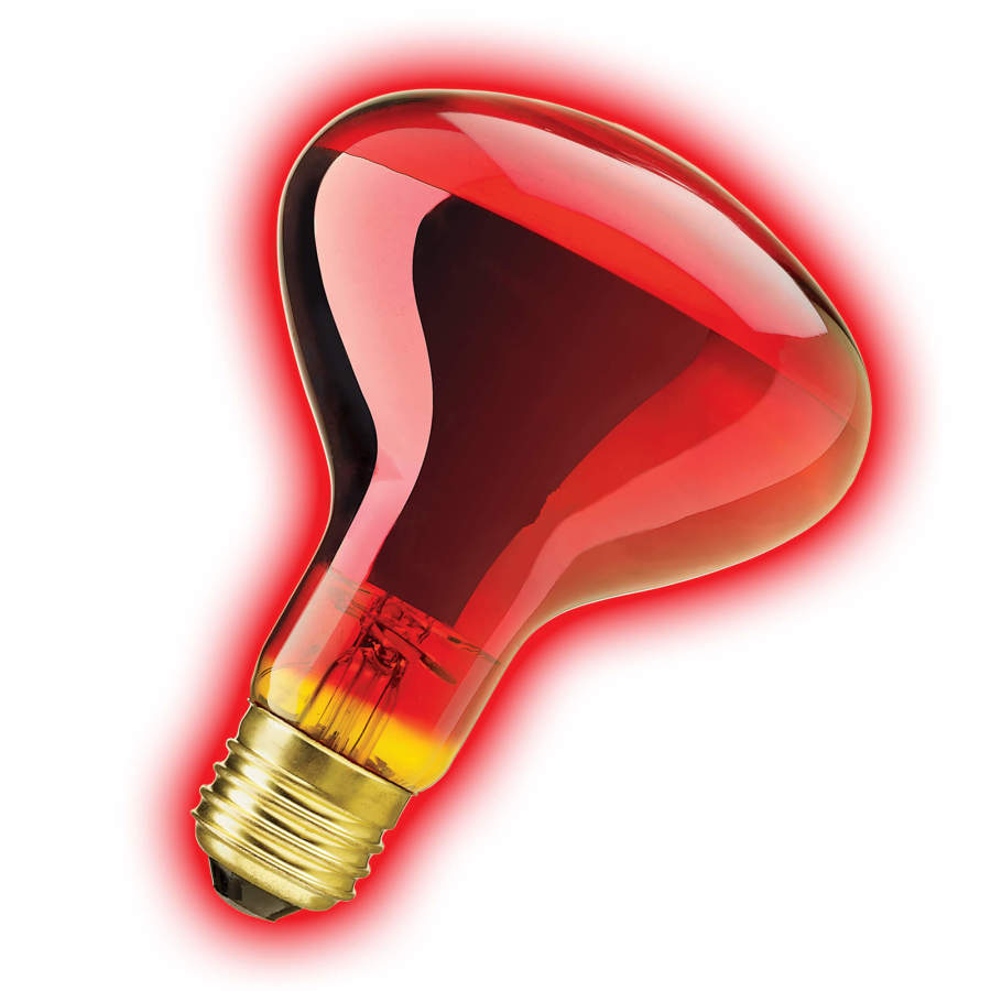 Zilla Night Red Incandescent Spot Bulb 75W
