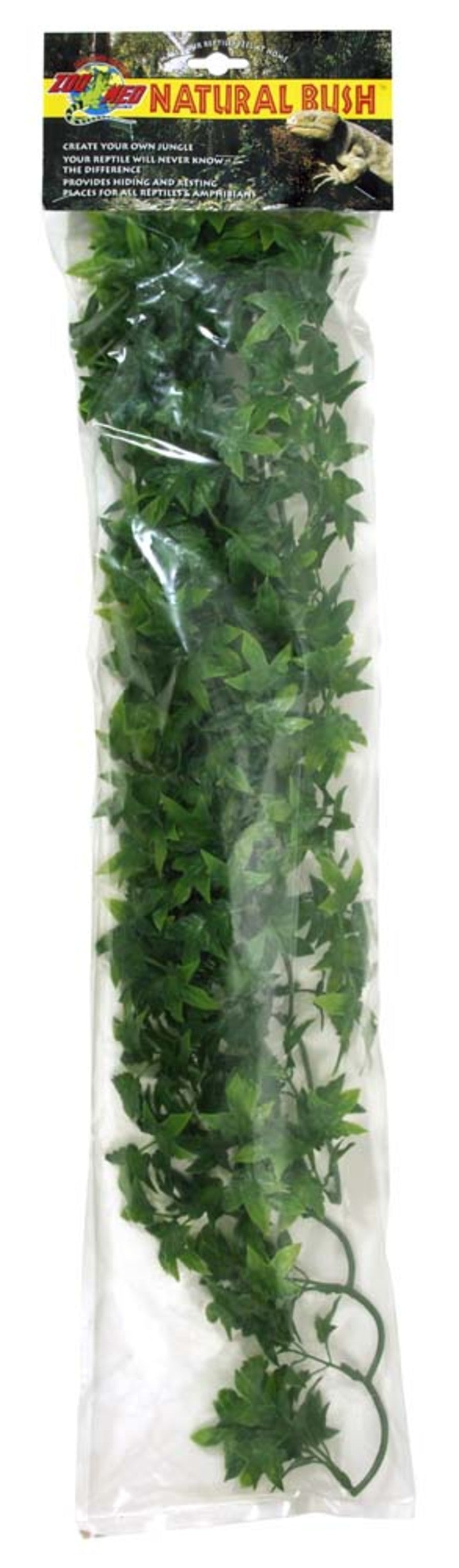 Zoo Med Natural Bush Plants Congo Ivy Large