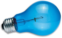 Zoo Med Daylight Blue Reptile Bulb 60W
