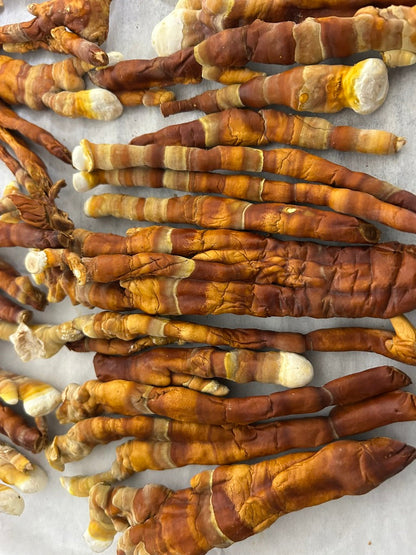 Reishi Mushroom Grow Kit
