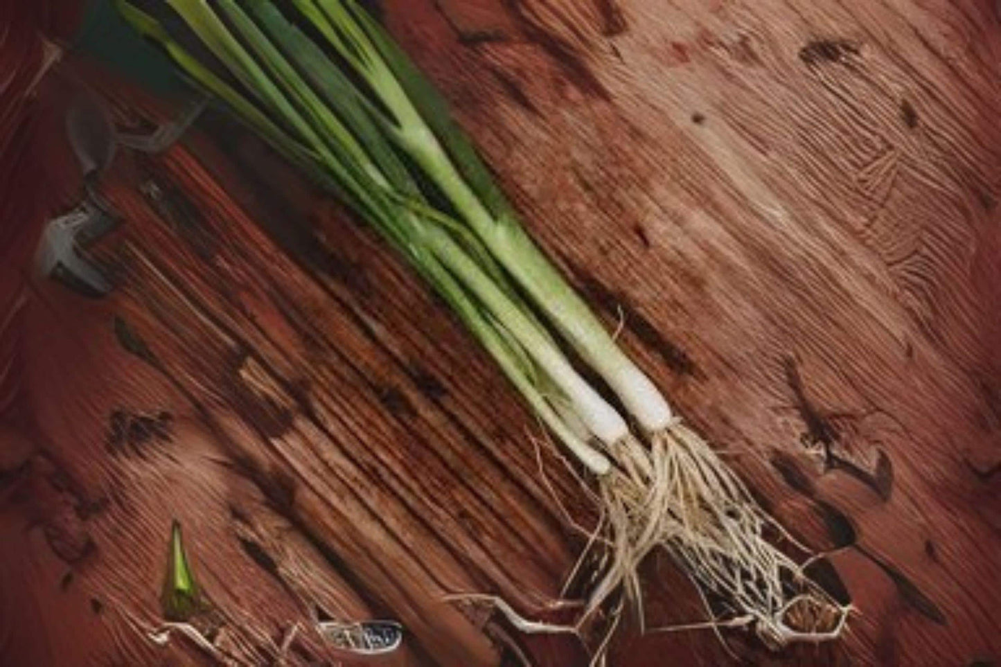 250 Seeds Tokyo Long Bunching Onion Allium fistulosum Non-Bulbing Green Onion for Salads & Stir-Fries