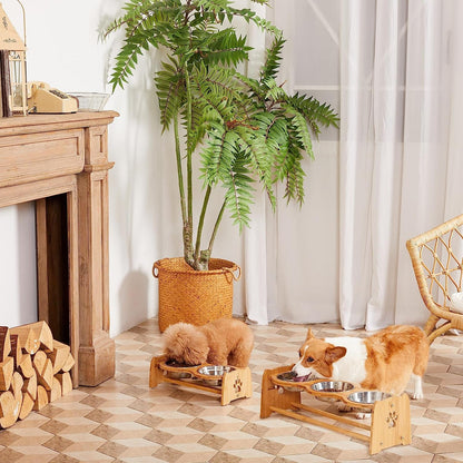Elevated Dog Bowls for Cats and Dogs