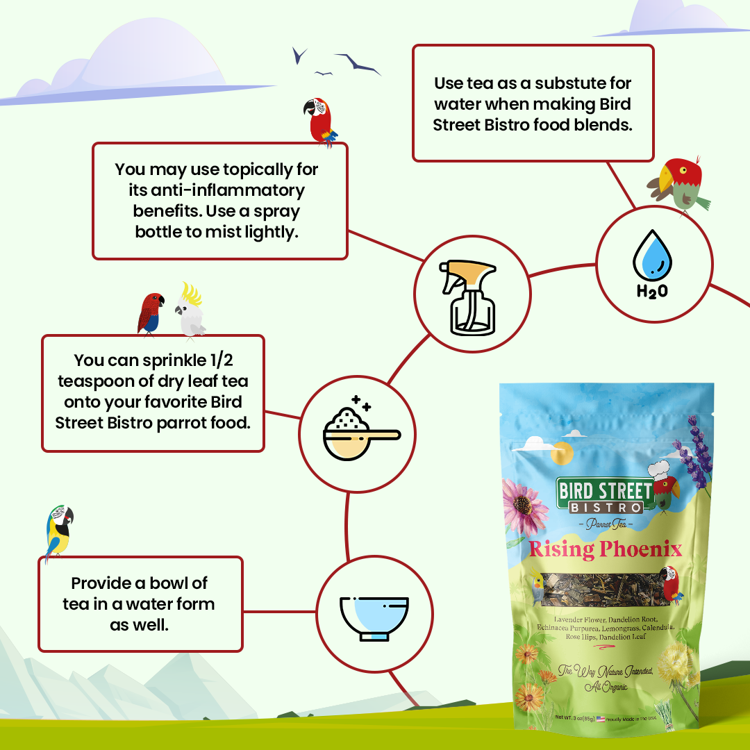 Parrot Food Tea Starter Pack