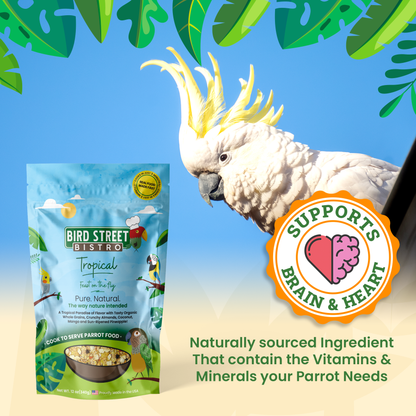 Tropical Feast On The Fly