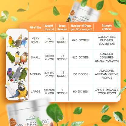 Organic Pre Pro Post Biotics Blend For Parrots 1 06Oz