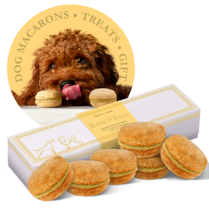 Dog Macarons - Box of 6