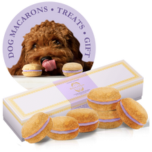 Dog Macarons - Box of 6