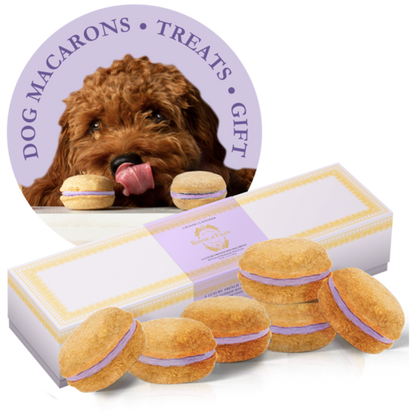 Dog Macarons - Box of 6