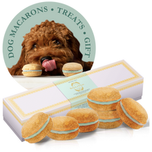 Dog Macarons - Box of 6