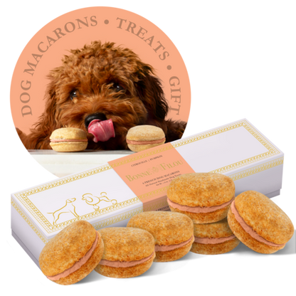 Dog Macarons - Box of 6