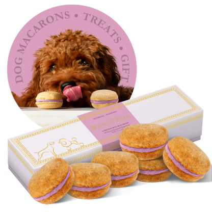 Dog Macarons - Box of 6