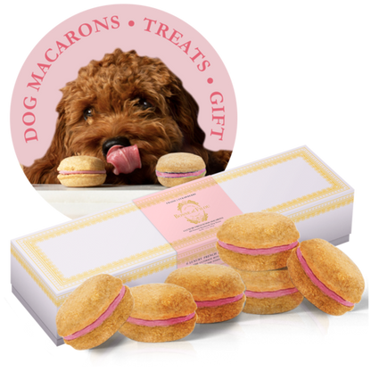 Dog Macarons - Box of 6