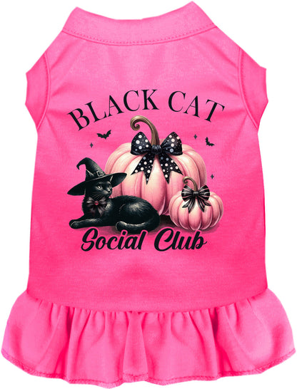 Pink and Black Cat Social Club Pet Dress