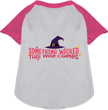 Something Wicked This Way Comes Pet Raglan Shirt