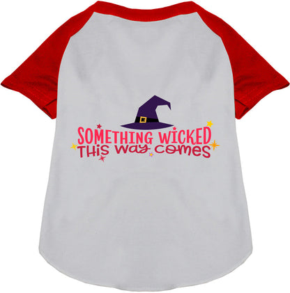 Something Wicked This Way Comes Pet Raglan Shirt