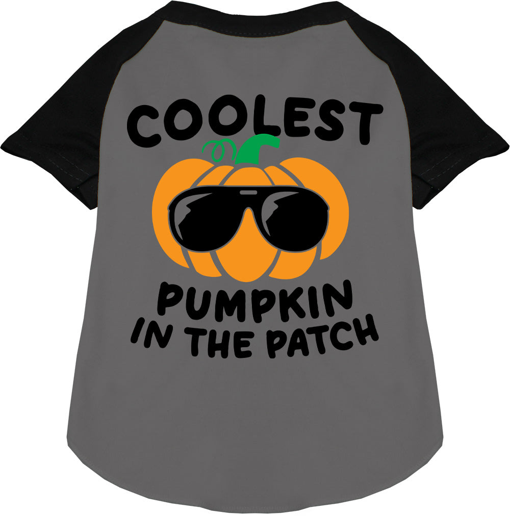 Coolest Pumpkin Pet Raglan Shirt