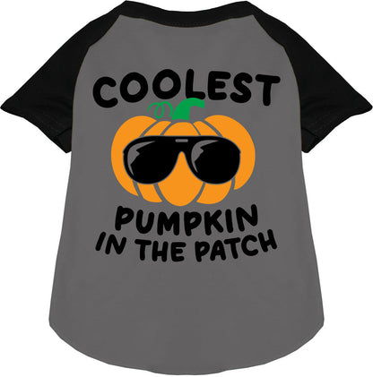 Coolest Pumpkin Pet Raglan Shirt