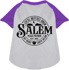Salem Witches Union Pet Raglan Shirt