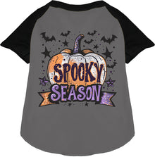 Batty Spooky Season Pet Raglan Shirt